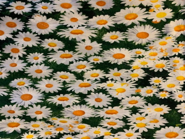Daisies – Toohottohandlecozies