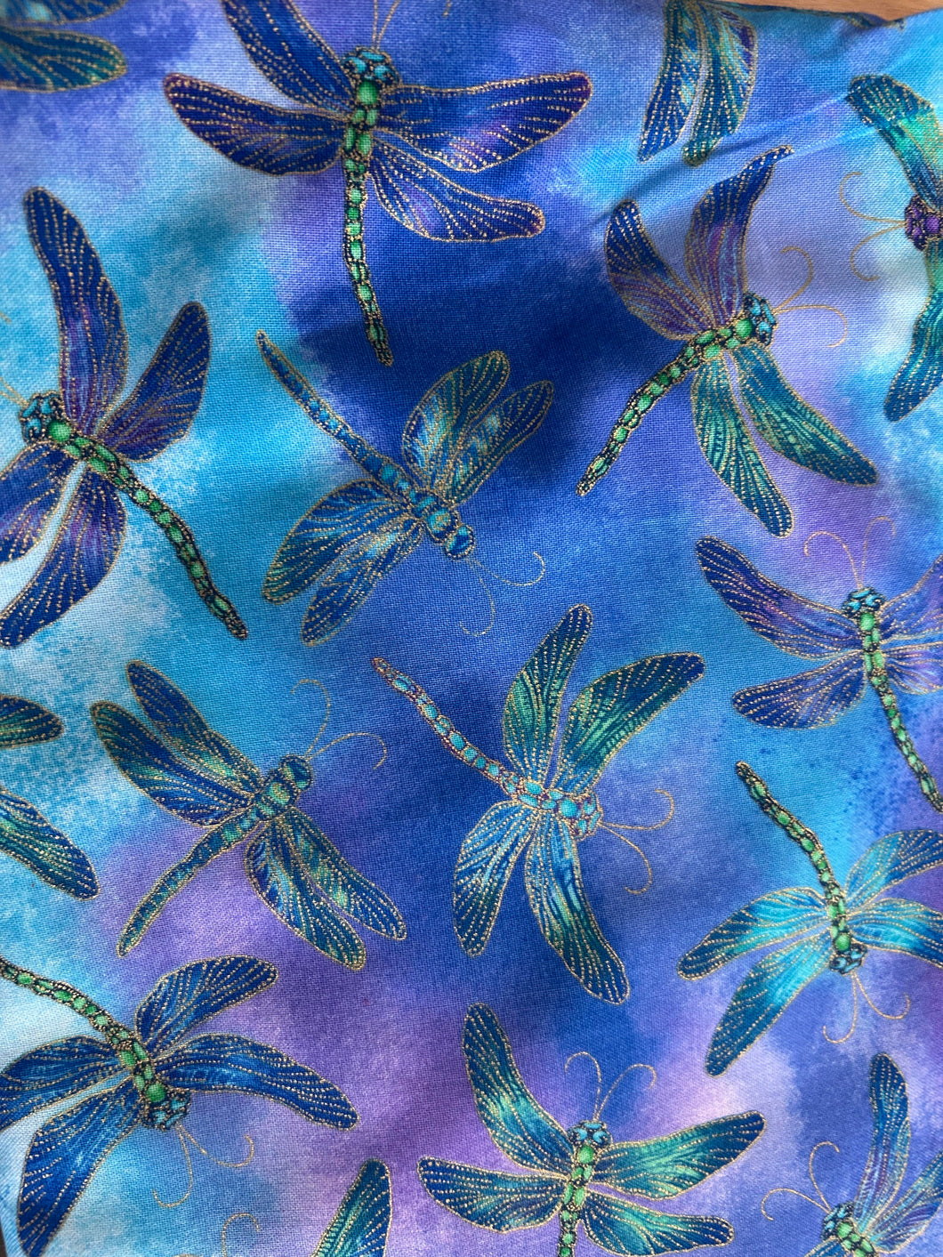 Dragonflies Teal